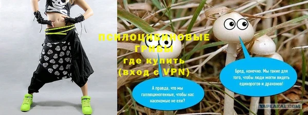 трава Абинск