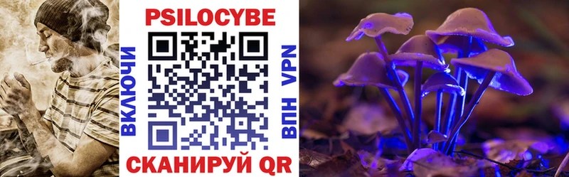 купить наркотик  Цивильск  Псилоцибиновые грибы Cubensis 